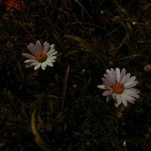 亚洲成色在线综合网站免费
